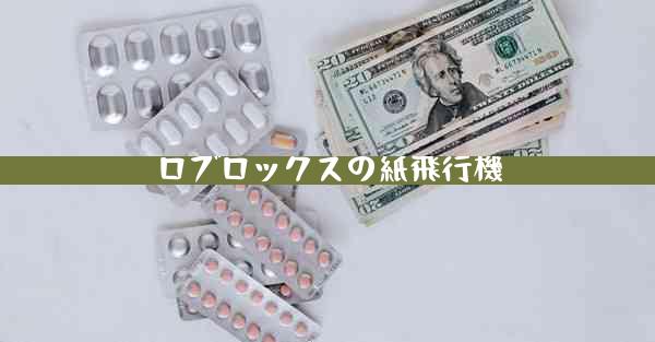 ロブロックスの紙飛行機