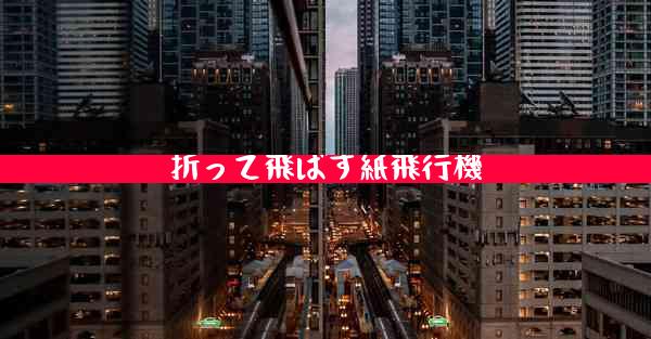 折って飛ばす紙飛行機
